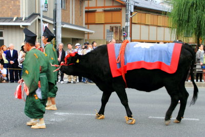 Cow, Toyotomi family (1568 - 1600), Jidai Matsuri Festival, Kyoto, Japan