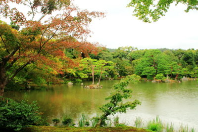 Fall, pond, Rokuon-ji Temple, Kinkaku-ji,  Kyoto, Japan
