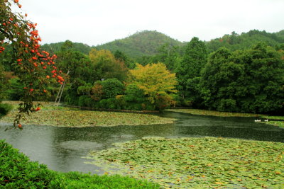 Lake, Ryōan-ji, The Temple of the Dragon at Peace, Kyoto, Japan