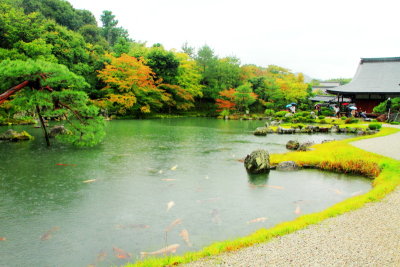 Garden, Tenryū-ji, Arashiyama, Kyoto, Japan