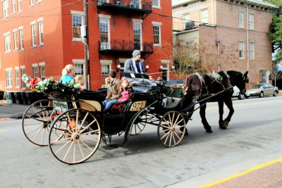Historic Savannah Horse carriage tours
