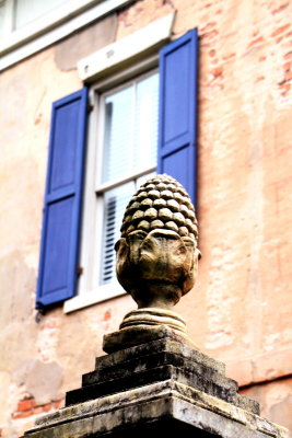 Window and pineapple, Savannah