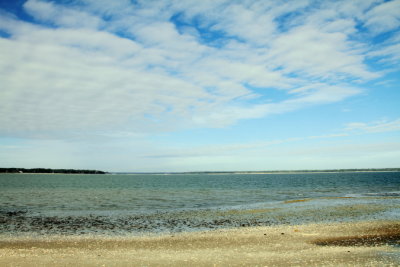 Harbour Town beach