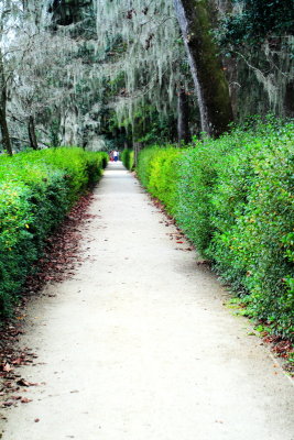 Pathway, Middelton Place