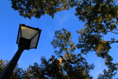 Lamp post, The Battery, White Point Gardens, c.1844