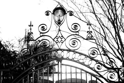 Wrought Iron work, Charleston Historic District