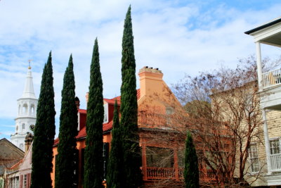 Four Cypresses, St. Michael's Episcopal Church, c.1761, 80 Meeting Street