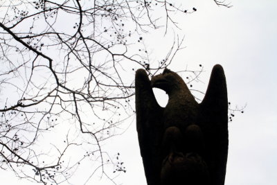 Gargoyle, Charleston Historic District