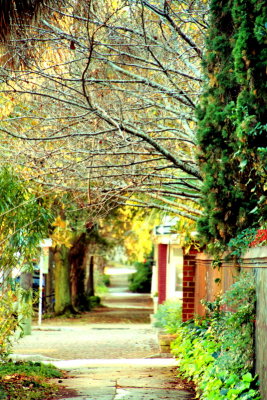 Elizabeth Street, Charleston Historic District