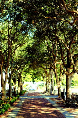 Waterfront Park, Charleston Historic District