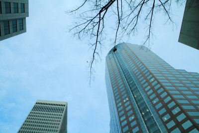 Charlotte through the sun roof