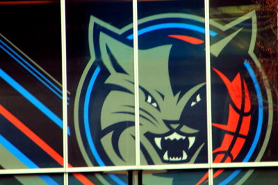 Charlotte Bobcats