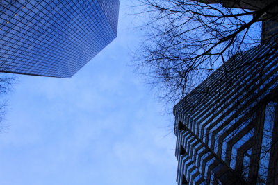 Charlotte through the sun roof