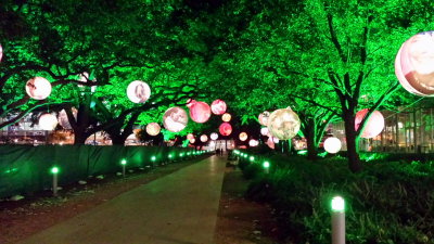Night decorations, lights on trees