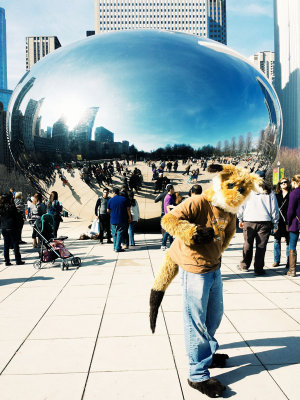 Cloud Gate, Chicago, Illinois