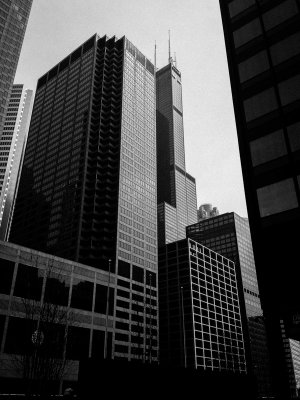 Sears Tower, Chicago, Illinois, Black and White