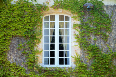 Window, Chateau Monluc, St. Puy, France