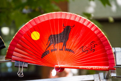 Espana, fan, Madrid, Spain
