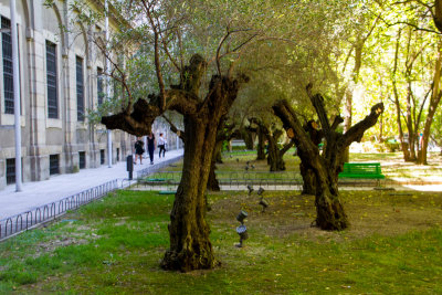 g9/30/52730/3/156422254.SqnCatpp.jpg