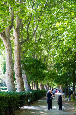 Jardines, Madrid, Spain