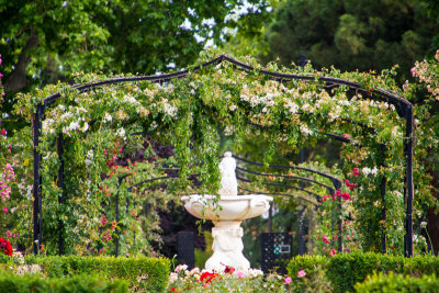 Rose Garden, Retiro Park, Madrid, Spain