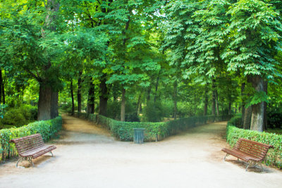 Retiro park, Madrid, Spain