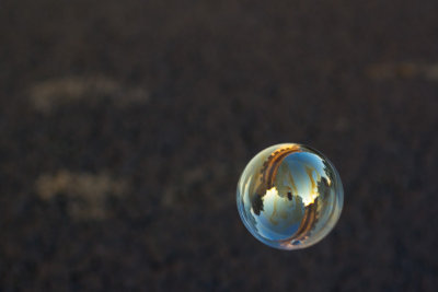 Living in a bubble, Summer 2014