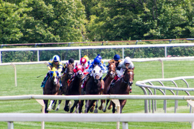 Arlington Million Race Day, Arlington Park, IL