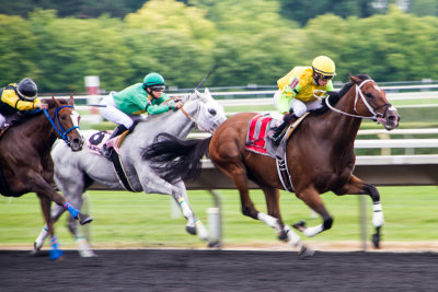 Arlington Million Race Day, Arlington Park, IL