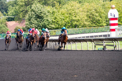 Arlington Million Race Day, Arlington Park, IL