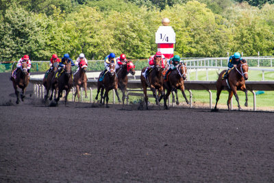 Arlington Million Race Day, Arlington Park, IL