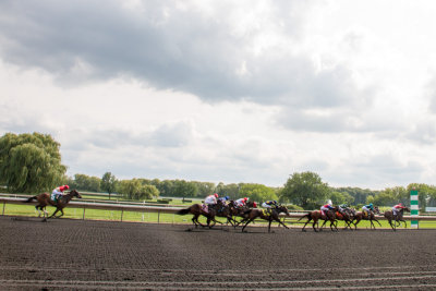 Arlington Million Race Day, Arlington Park, IL