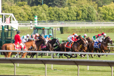 Arlington Million Race Day, Arlington Park, IL