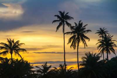 Sunset, Rio Grande, Puerto Rico