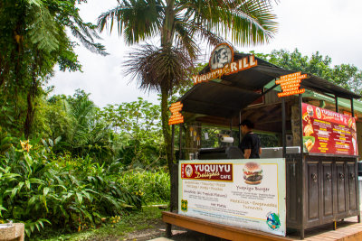 El Yunque National Rainforest, Puerto Rico