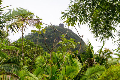 Mt Britton Lookout Tower, El Yunque National Rainforest, Puerto Rico