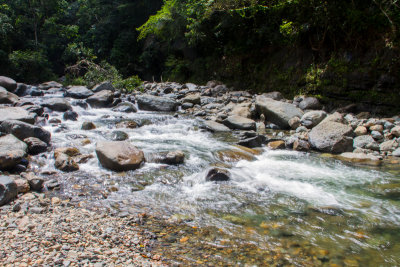 Streams, El Yunque National Rainforest, Puerto Rico