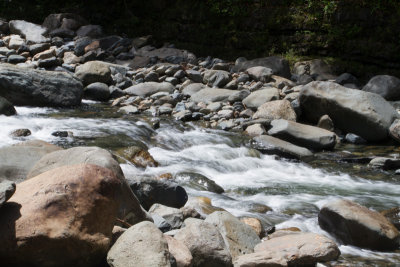 Streams, El Yunque National Rainforest, Puerto Rico