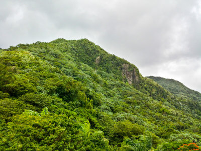 El Yunque, El Yunque National Rainforest, Puerto Rico