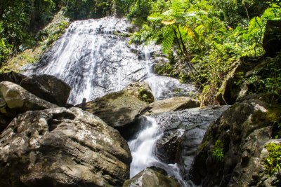 La Coca Waterfalls, El Yunque National Rainforest, Puerto Rico