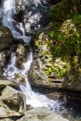 Waterfalls, El Yunque National Rainforest, Puerto Rico