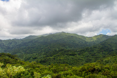 El Yunque National Rainforest, Puerto Rico