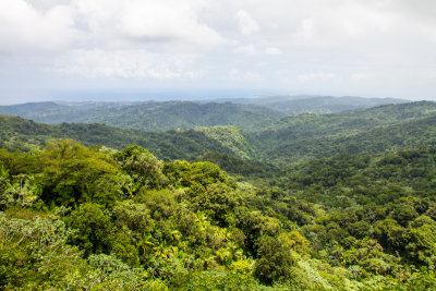 El Yunque National Rainforest, Puerto Rico