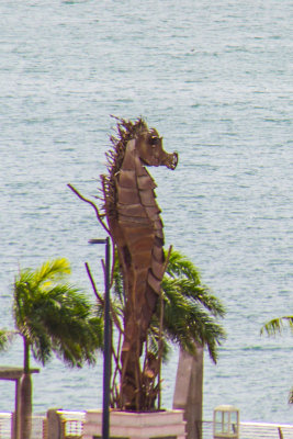 Caballito del Mar (Seahorse), Old San Juan