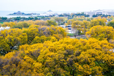 Museum Campus view from the Presidential Suite, Blackstone Hotel, Fall Colors, Chicago Open House 2014