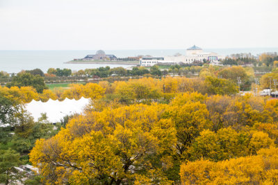 Museum Campus, View from the Presidential Suite, Blackstone Hotel, Fall Colors, Chicago Open House 2014