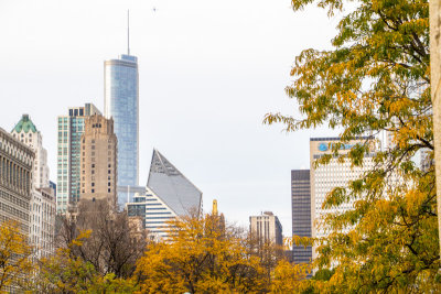 Fall view of downtown Chicago