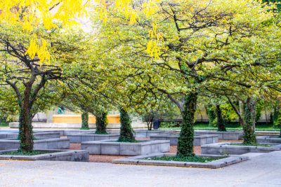 South Garden of the Art Institute of Chicago