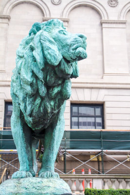 Lion, Art Institute of Chicago