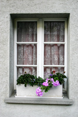 Windows, Interlaken, Switzerland